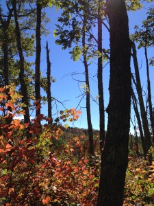 Paine Run at the AT, photo by CGIOS
